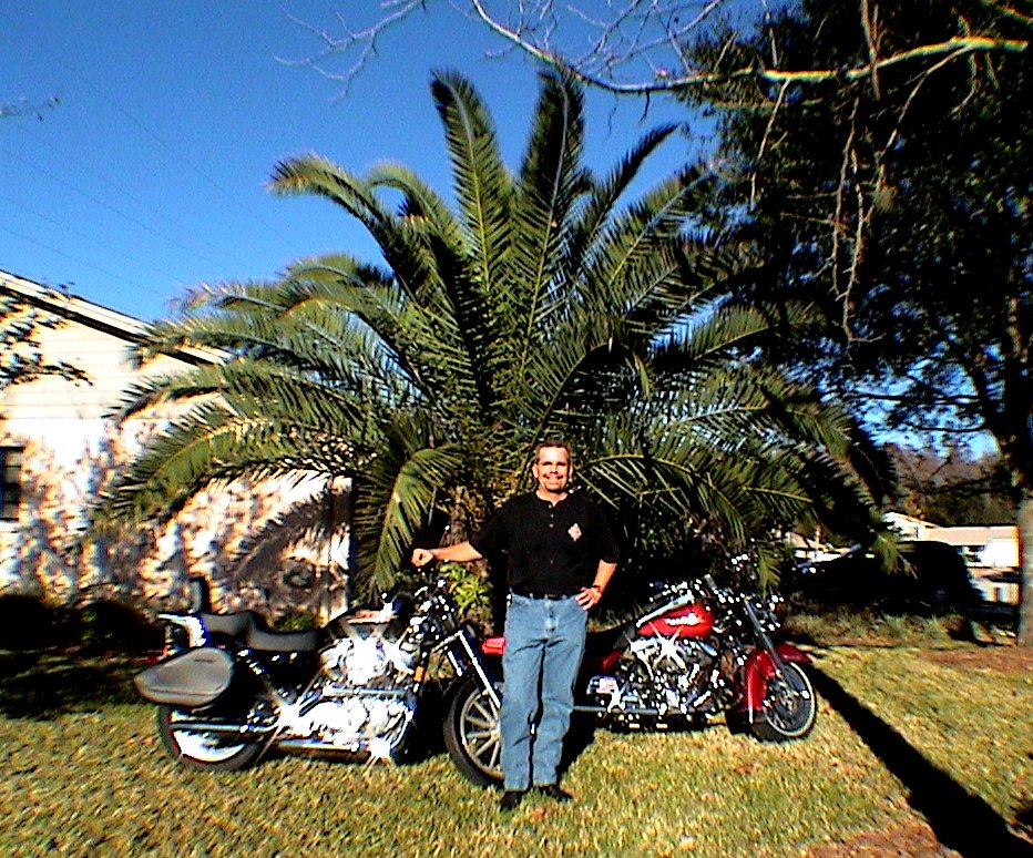 Harleys palm MJE B.jpg (270777 bytes)