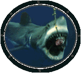 shark.gif (32715 bytes)